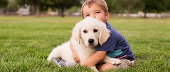 Los beneficios de convivir con animales
