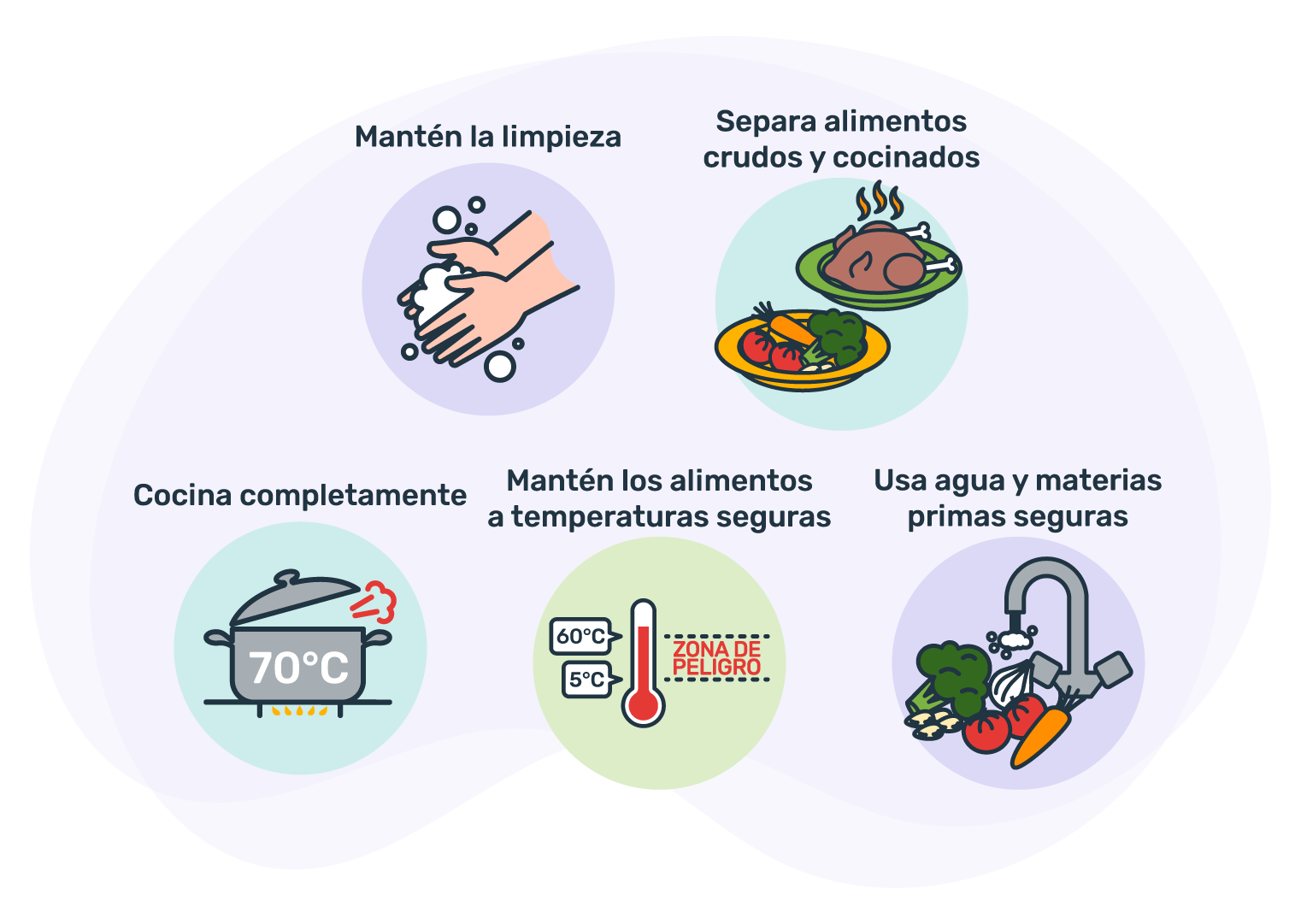 Inocuidad De Los Alimentos Y Nutrición 6395