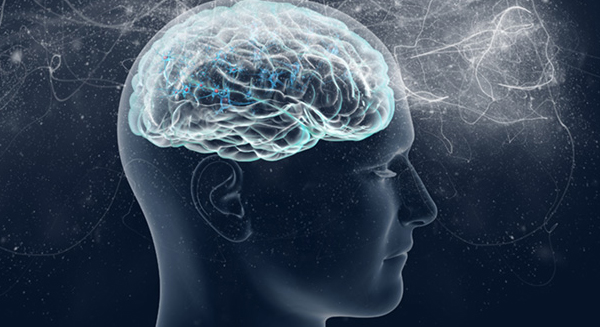 neurologia neurologia