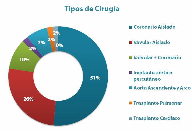 grafico---cec