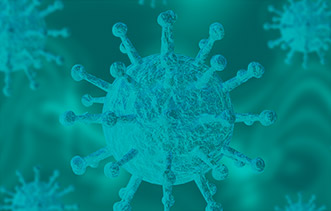 coronavirus covid-19 coronavirus covid-19