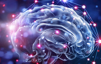 neurologia neurología
