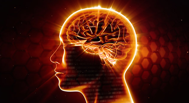 neurologia neurologia
