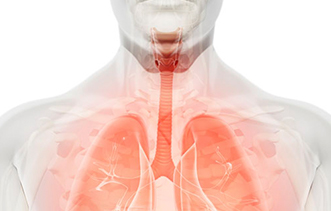 respiratorio respiratorio