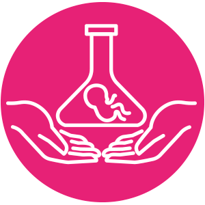 icono embriones articulo web