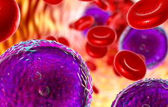 hematologia_clinica_alemana hematologia_clinica_alemana