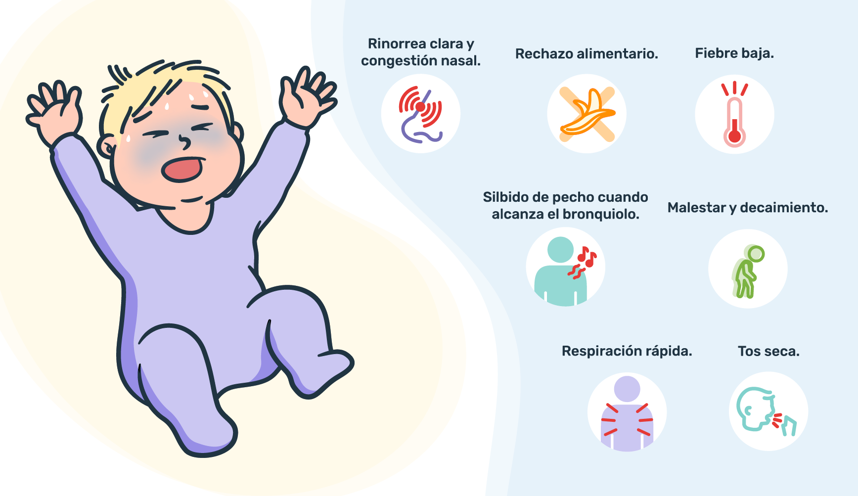 Infografía de los síntomas de virus respiratorio sincicial que son rinorrea clara y congestión nasal, rechazo alimentario, fiebre baja, malestar y decaimiento, tos seca, respiración rápida, silbido de pecho cuando el virus alcanza el bronquiolo.	