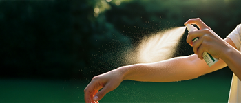 Picaduras de verano: ¿cómo prevenir?