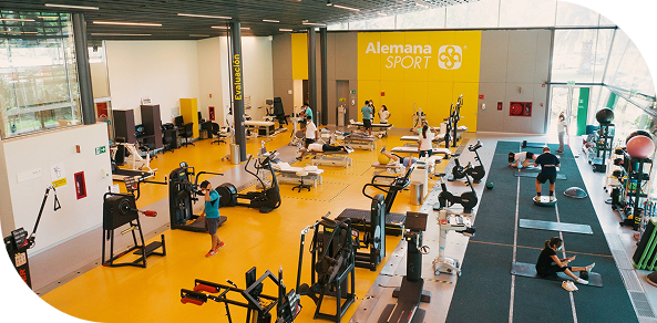 Alemana Sport