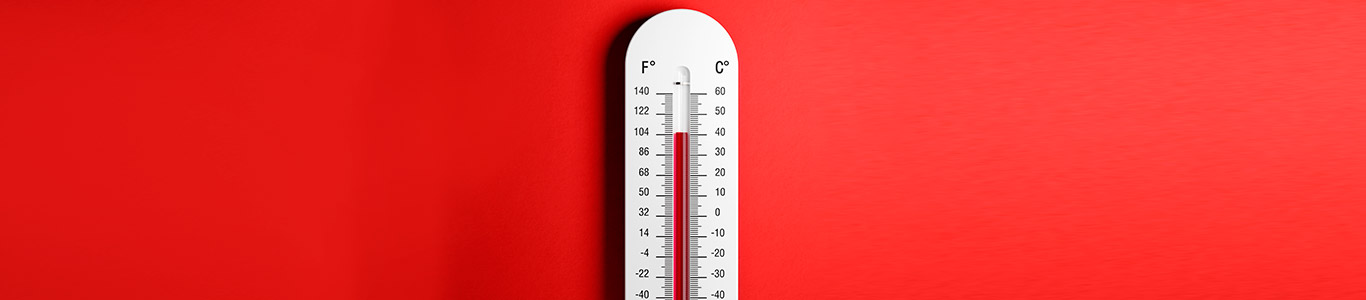 ¿Cómo sobrellevar las altas temperaturas?